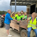 Naar de boomgaard