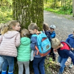 3de kleuter Zillebeke naar het bos