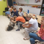 Dierenplezier in 4Z 