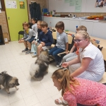 Dierenplezier in 4Z 