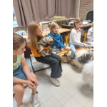 Dierenplezier in 4Z 