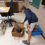 Dierenplezier in 4Z 