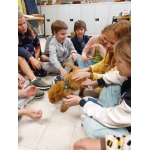 Dierenplezier in 4Z 