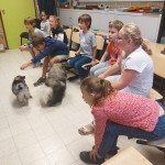 Dierenplezier in 4Z 