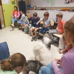 Dierenplezier in 4Z 