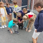 Dierenplezier in 4Z 