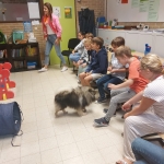 Dierenplezier in 4Z 