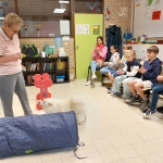 Dierenplezier in 4Z 