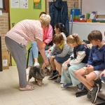 Dierenplezier in 4Z 