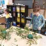 Bloemschikken voor Moederdag in 4Z 