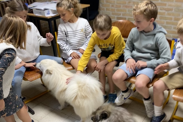 Oktobermaand = dierenmaand! Kijk je even mee? 